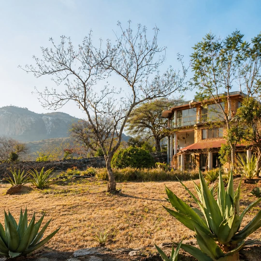 Neshama: una casa entre árboles, tierra y montaña