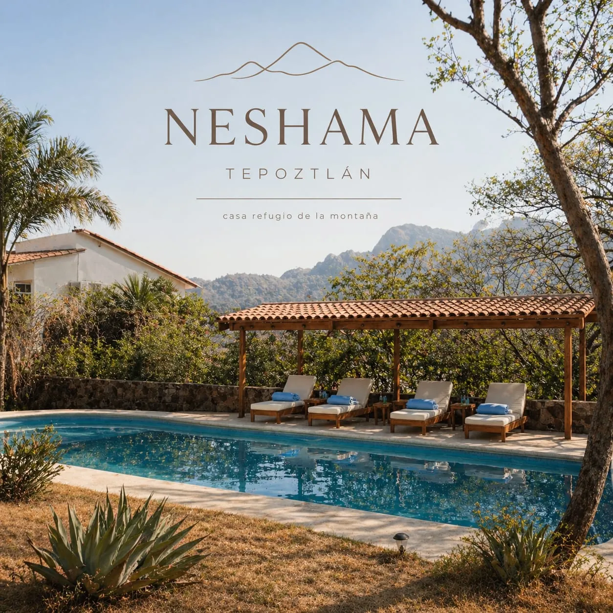 Pool day en Neshama